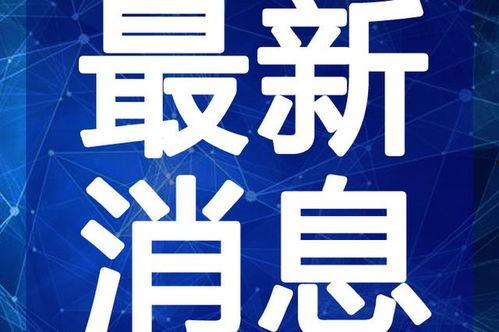 霹雳八哥最新视频爆料,精彩瞬间与幕后故事大曝光