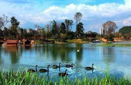 花溪花果园爆料事件最新,揭秘背后真相与争议