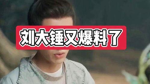 刘大锤最新爆料麦玲,麦玲惊人内幕曝光