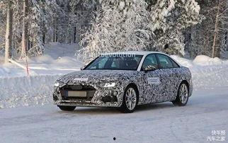 a4最新爆料,揭秘行业背后惊人内幕